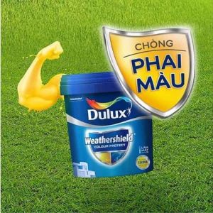 Sơn Dulux Weathershield Colour Protect Bề Mặt Bóng E023-15L