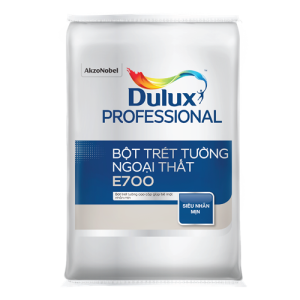 Bột Trét Dulux Professional E700